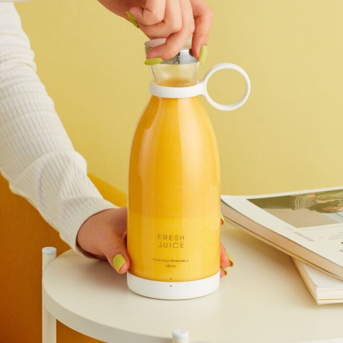 Portable Mini Fruit Blender, smoothi mixer