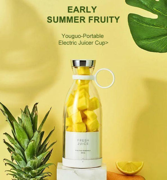 Portable Mini Fruit Blender, smoothi mixer